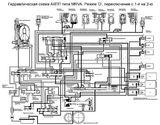 MRVA D 1-2 sm