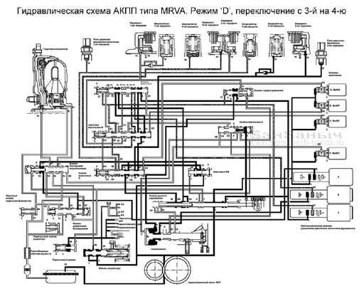 MRVA D 3-4 sm