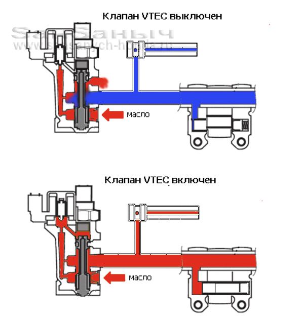 vtec oil sсheme